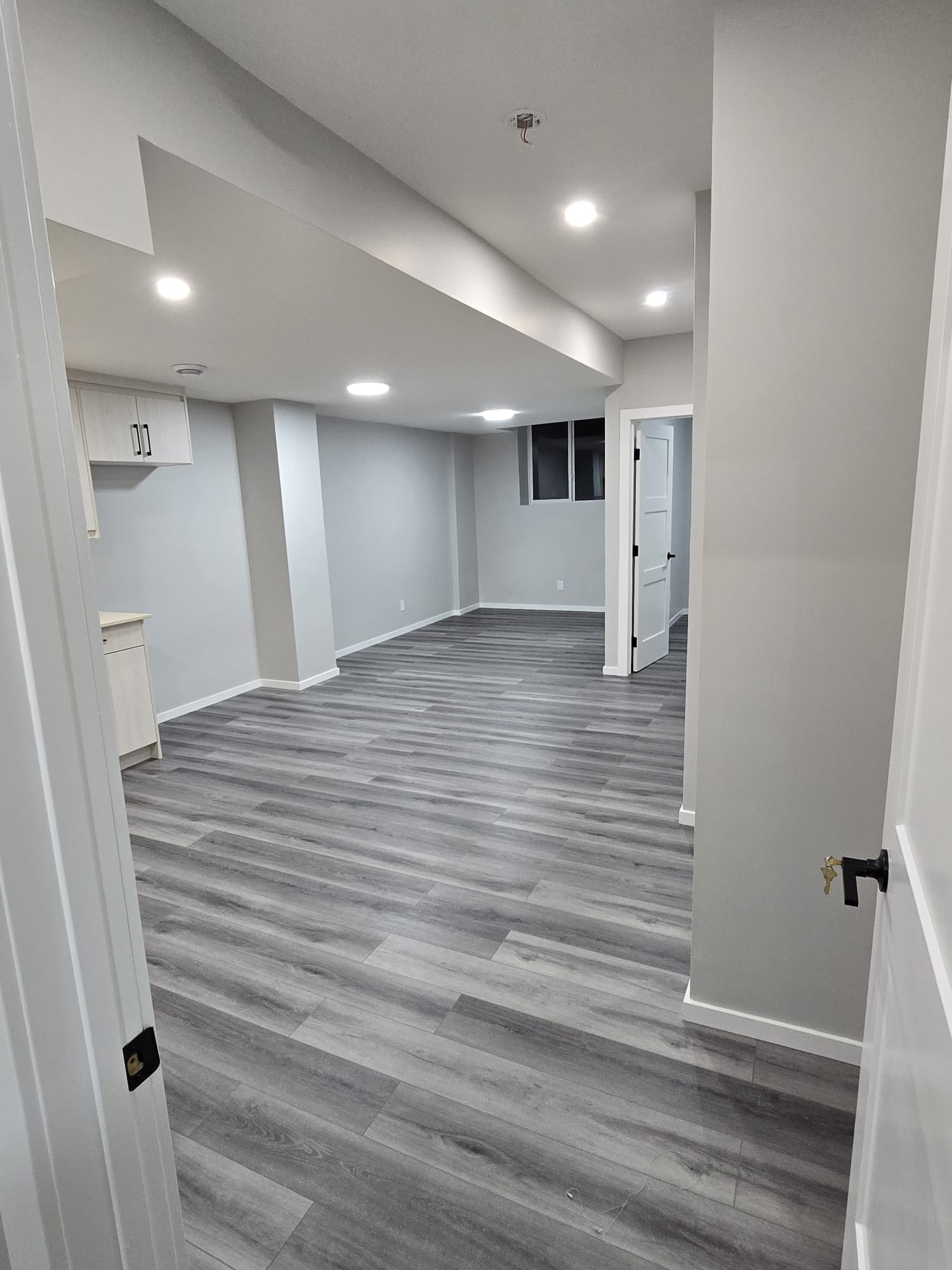 Modern Basement Suite